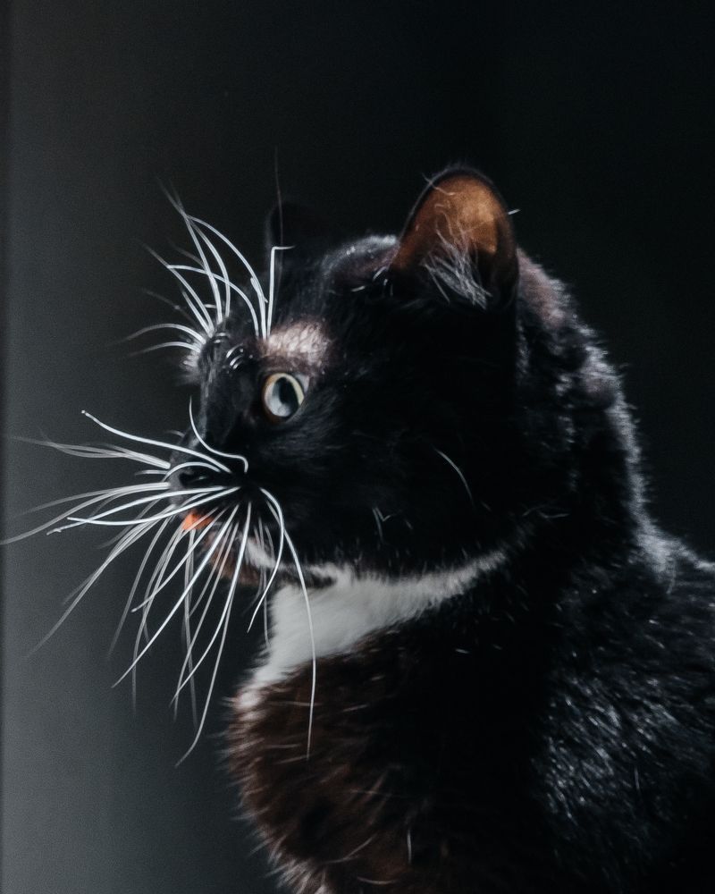 Photograph by Илья Стефанов