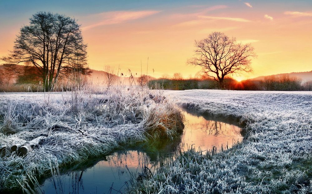 Photograph by Elena Wymann