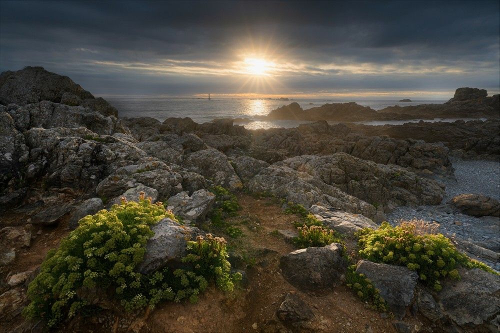 Photograph by Juan Francisco Trujillo Lopez