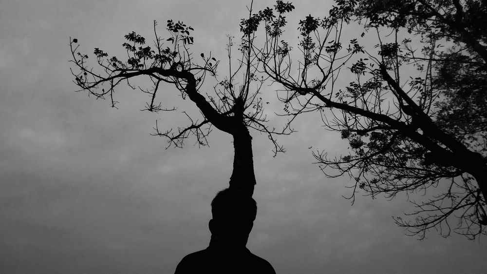 Photograph by Shariar Shoikat