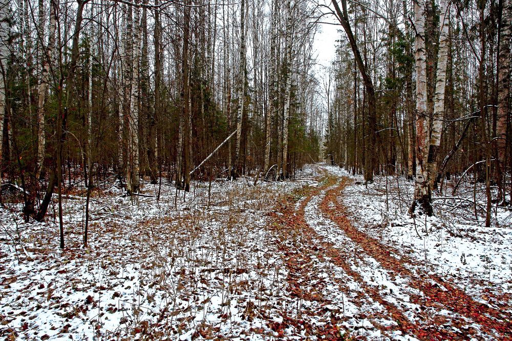 Photograph by Олег Васильев