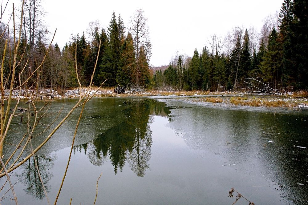 Photograph by Олег Васильев