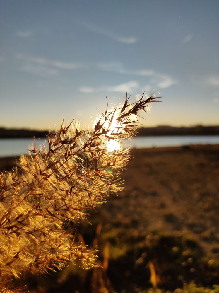 Photograph by Юлия Коваль