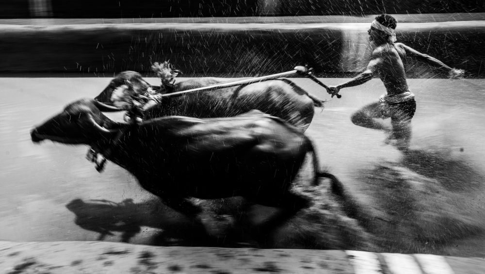 Photograph by sourav bhandari