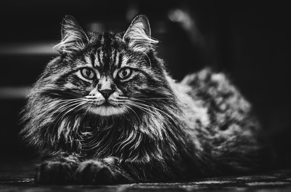 Photograph by Дрынов Виталий