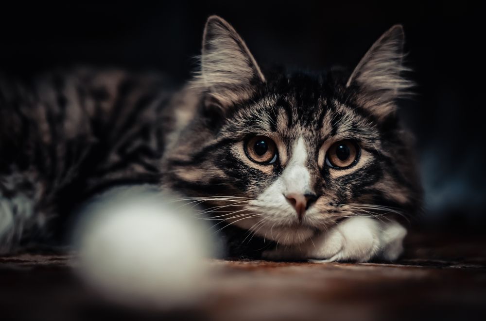 Photograph by Дрынов Виталий