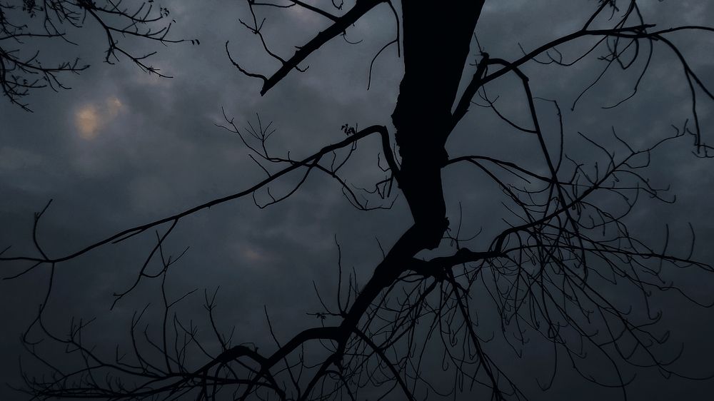 Photograph by Shariar Shoikat