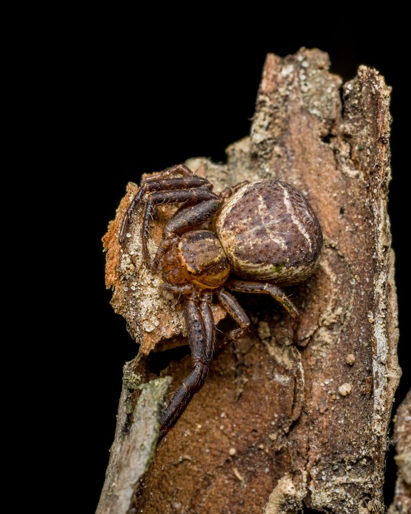 Photograph by Николай Головко