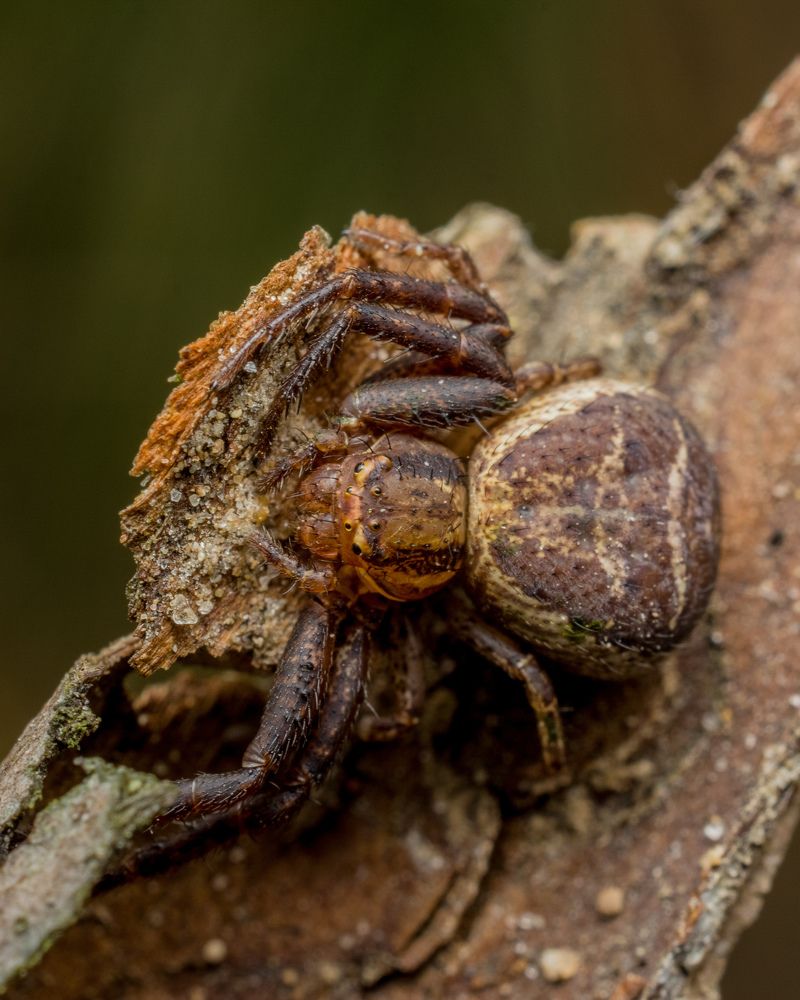 Photograph by Николай Головко