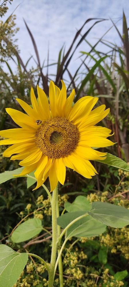 Photograph by Gerardo Etorena