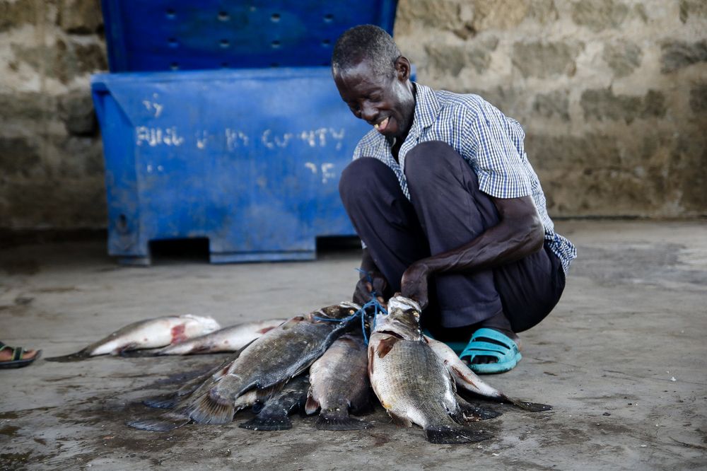 Photograph by Sirjere