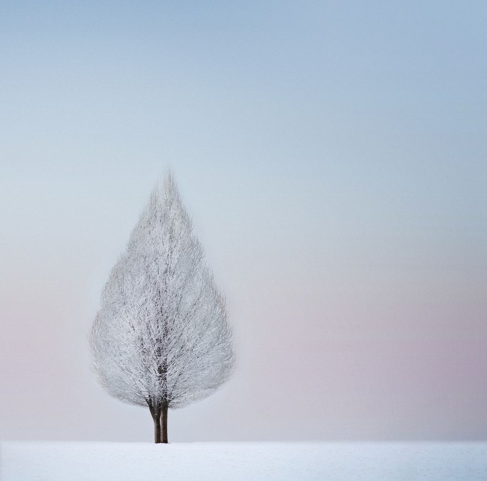 Photograph by Анастасия Моисеенко