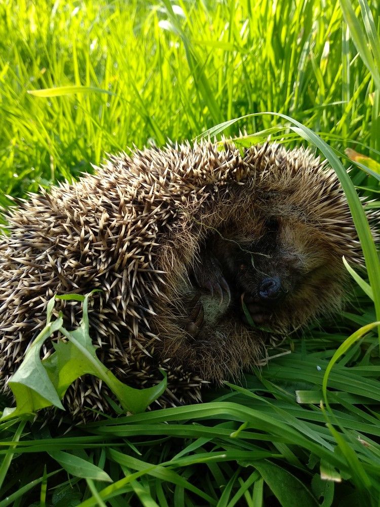 Photograph by Марина Мишина