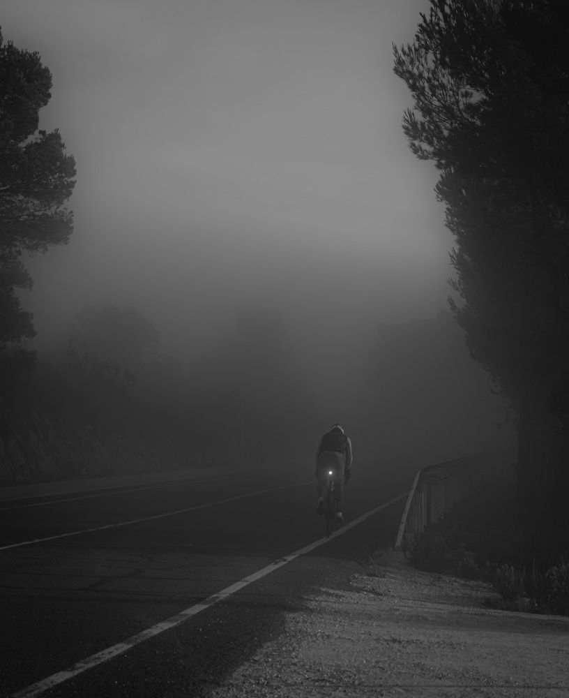 Entre la niebla