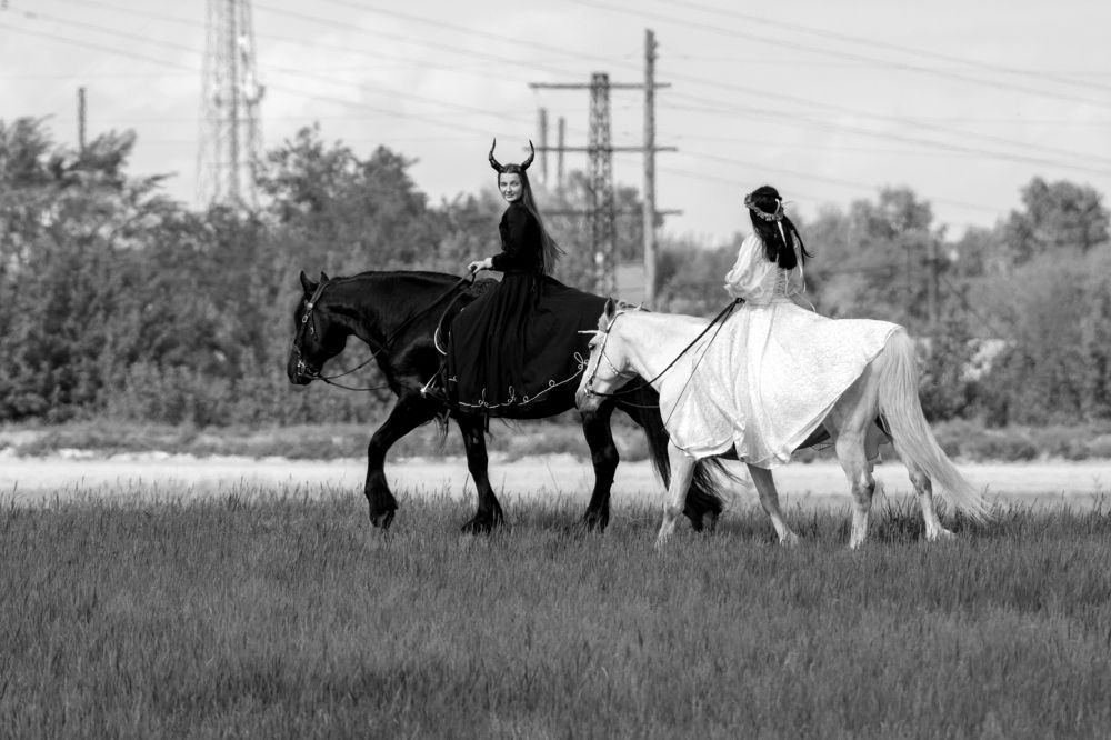 Photograph by Александр Перегудов