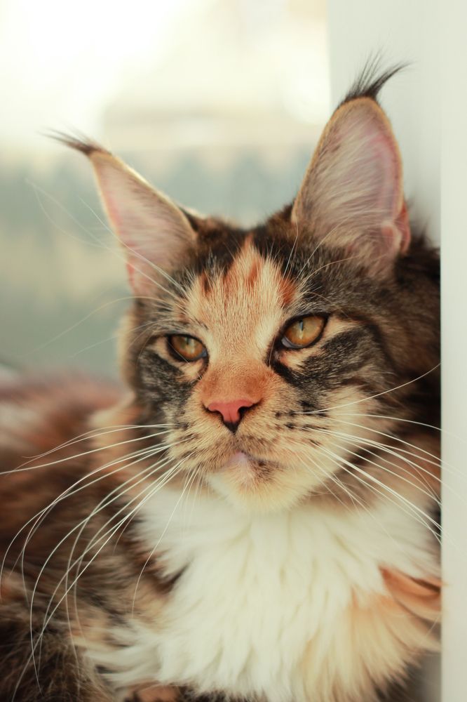 Photograph by Алёна Губинская