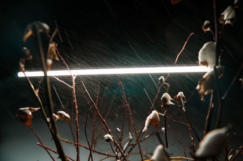 Photograph by Дмитрий Бутенко