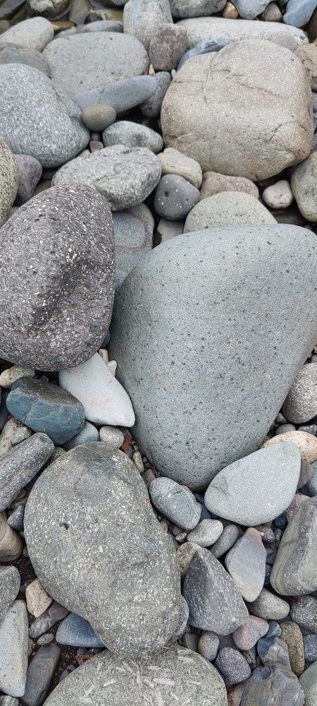 Photo #8799778