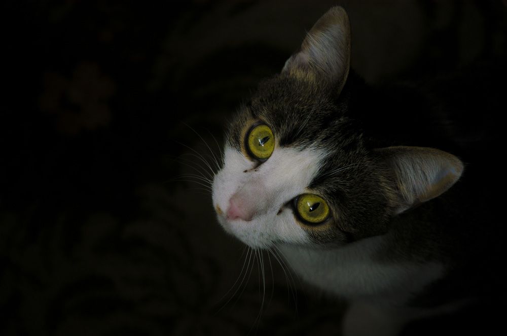 Photograph by Елена Кадаева