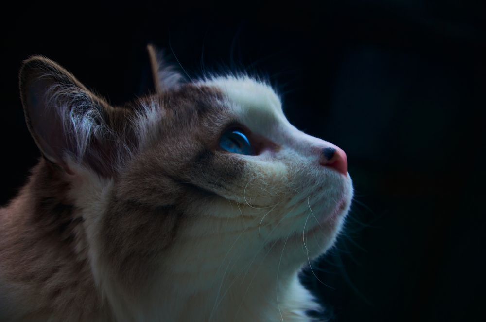 Photograph by Елена Кадаева