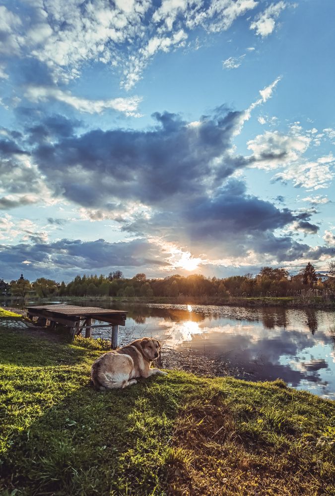 Photograph by Михаил Смирнов