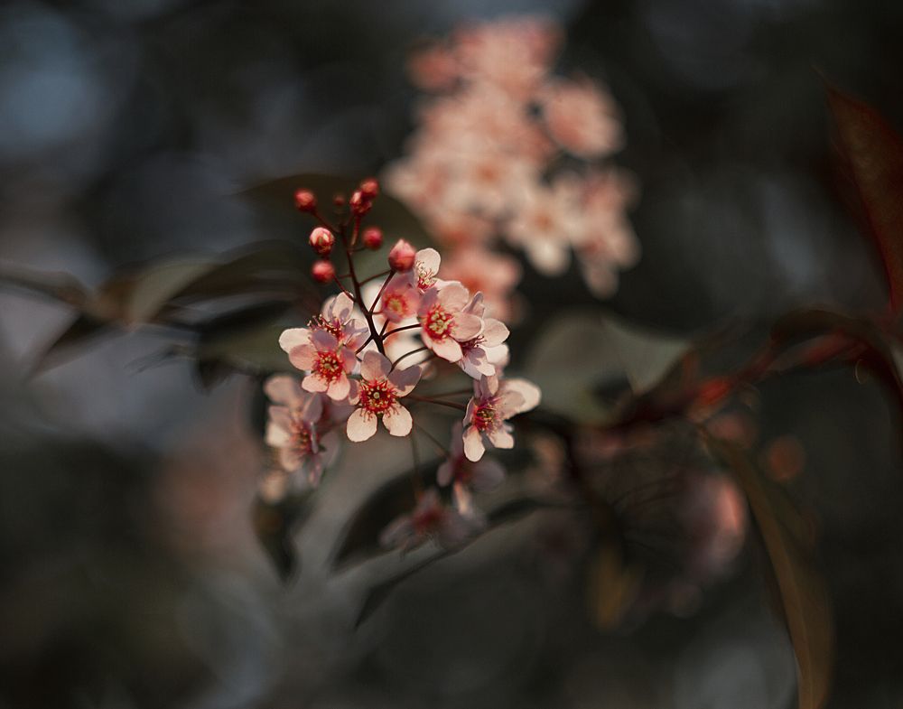 Photograph by Алена Полетаева