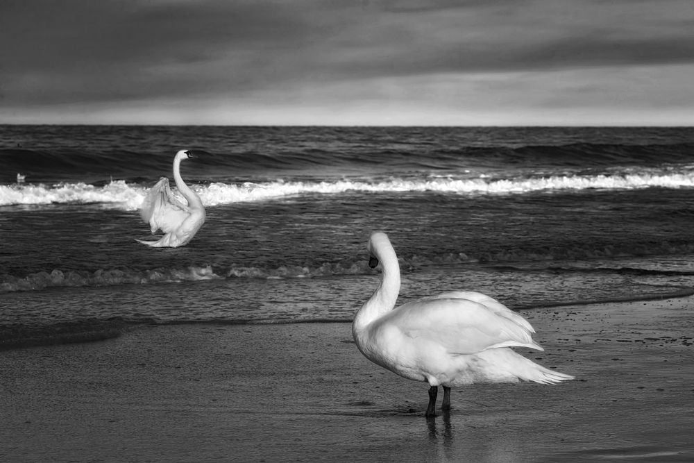 Photograph by Ангела Честнова