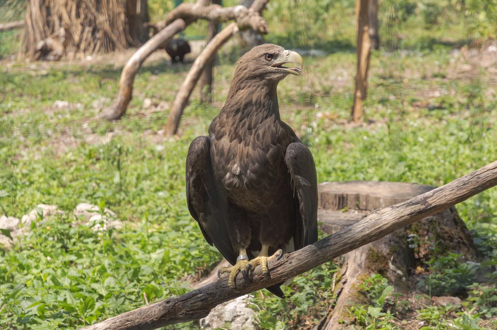 Photograph by Светлана Мельник