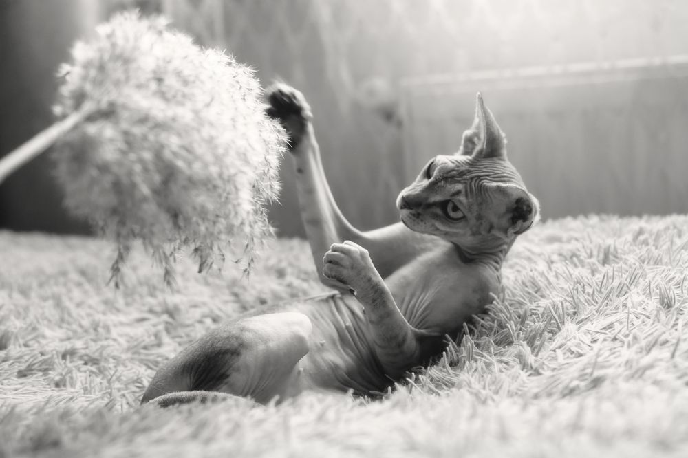 Photograph by Марина Гнедаш