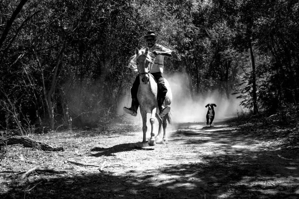 Photograph by FLAVIO SOUZA CRUZ