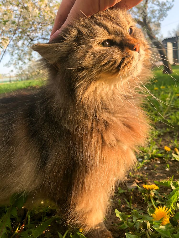 Photograph by Анастасия Волошина