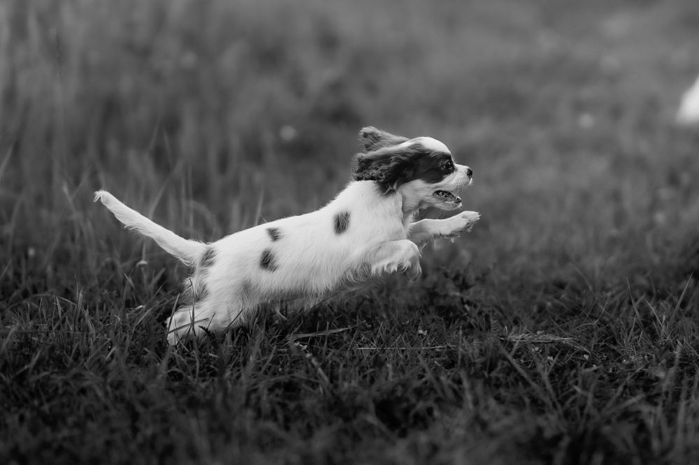 Photograph by Olesia Chepurchenko