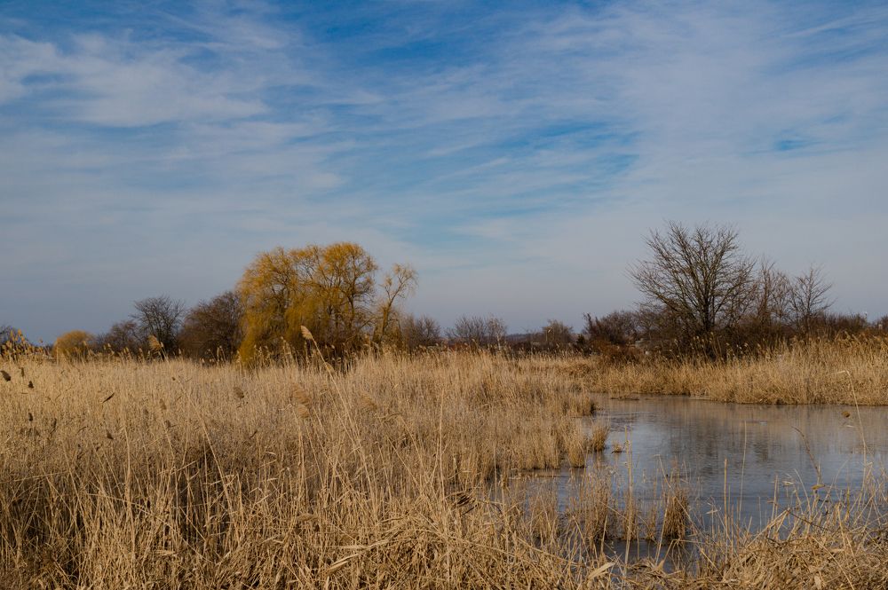 Photograph by Ариадна Подмогильная