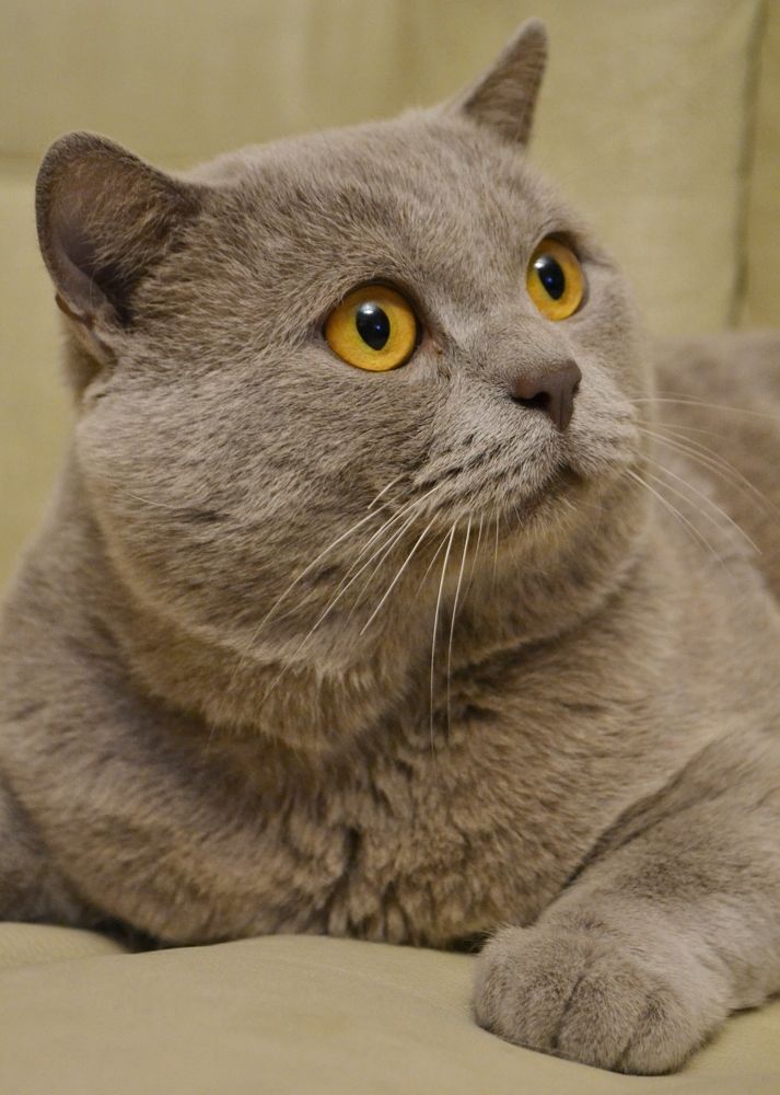 Photograph by Любовь Бузыкина