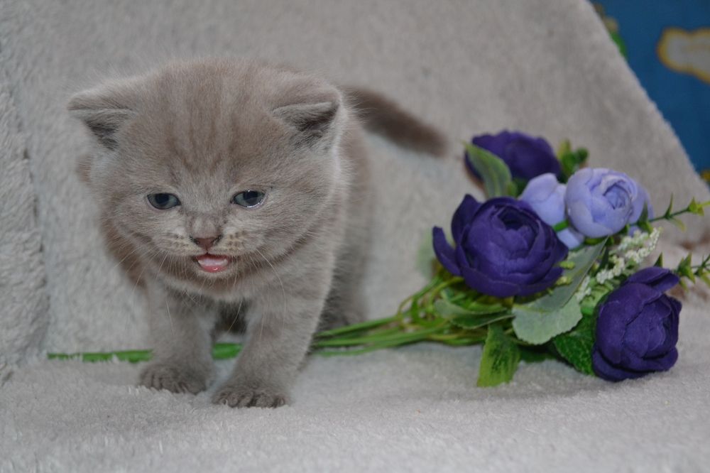 Photograph by Любовь Бузыкина