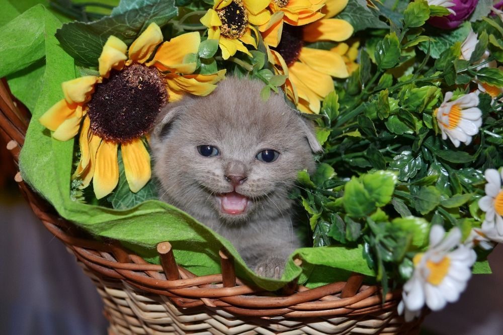 Photograph by Любовь Бузыкина