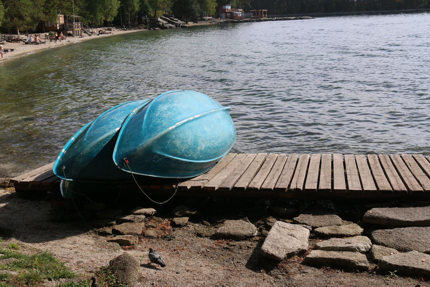 Photo #8800218