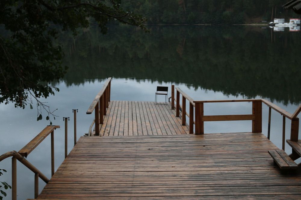 Photograph by Софья Белоногова