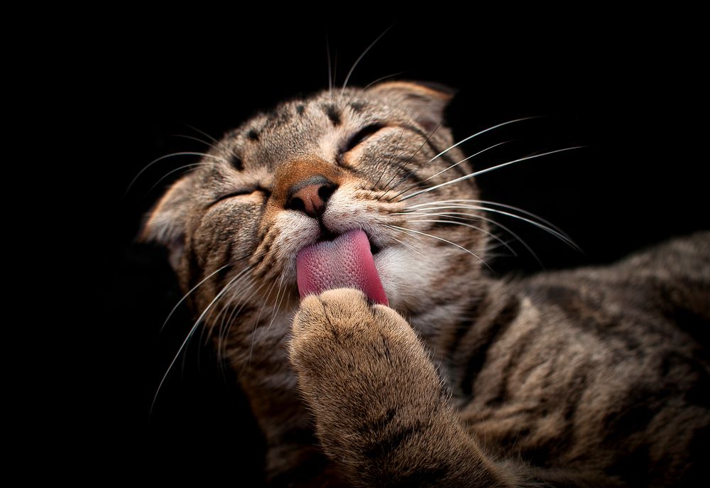 Photograph by Мария Дронова