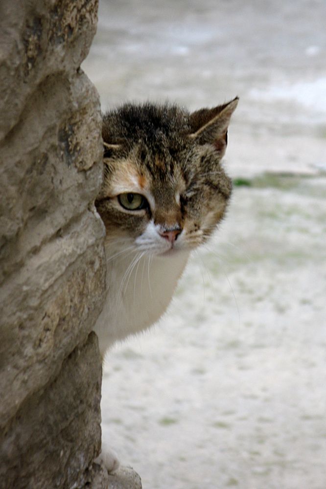 Photograph by Damir Gržin