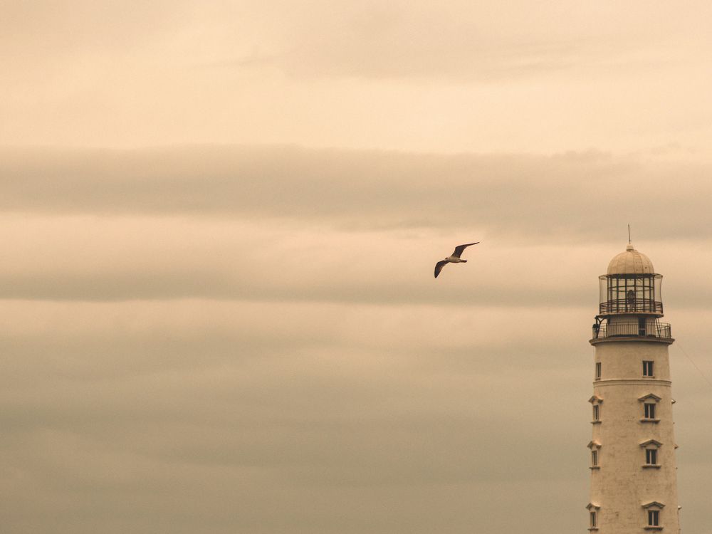 Photograph by Оксана Ребристая