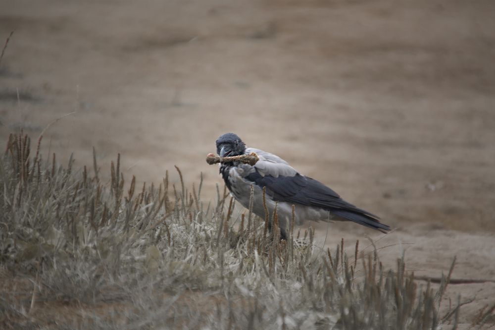 Photograph by Елена Иванова