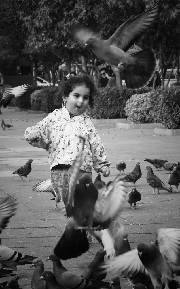 Photograph by Pourya Farajpour