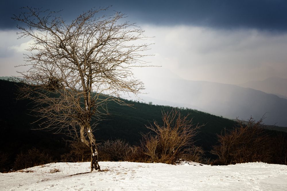 Photograph by Javad zavvar