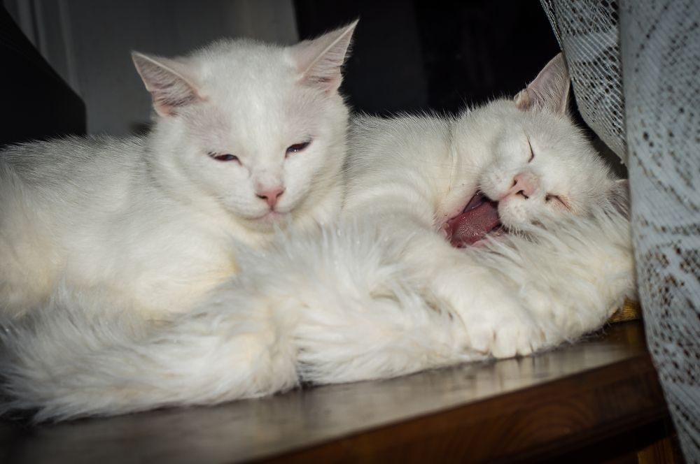 Photograph by Ксения Смирнова