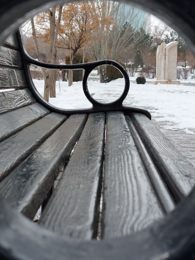 Фотография автора Neda Naserdost