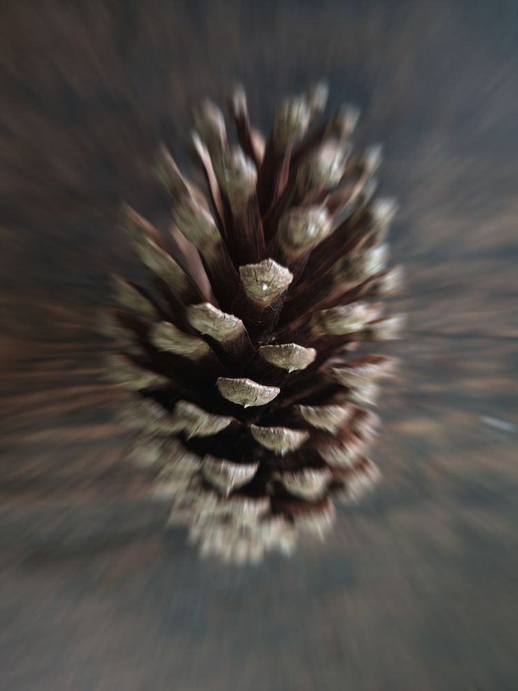 Photograph by André Lobo