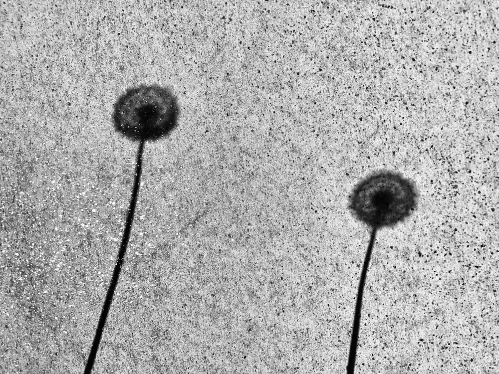 Photograph by Сергей Сергеев