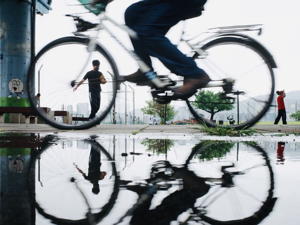 Photograph by Cindy Chou