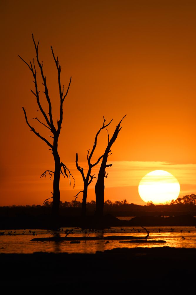 Photograph by SI SABER LOTFI